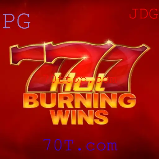 Explorando o Mundo de HotBurningWins: Um Guia Completo